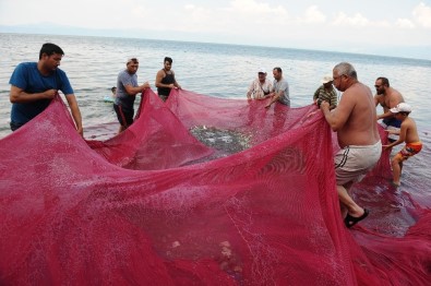 Balıkçılar Bu Balığa Av Yasağı Getirilmesini İstiyor