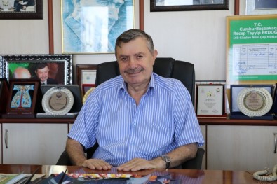 Doğu Karadeniz'i İstila Eden 'Vampir Kelebek' İle Mücadele Sürüyor