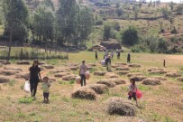 DURANKAYA - Hakkari'de Şehitleri Anma Günü Etkinlikleri
