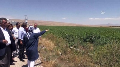 Yazıhan'da 90 Bin Dekar Arazi Suyla Buluştu