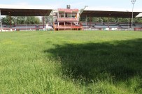 KıRKPıNAR - 658 Yıllık Efsanenin Dualı Çayırı Pehlivanları Bekliyor