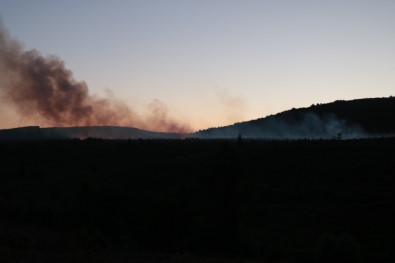 Aydos Ormanı'nda Yangın