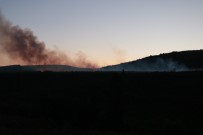 Aydos Ormanı'nda Yangın