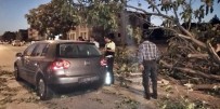 Erzincan'da Seyir Halindeki Aracın Üzerine Ağaç Devrildi