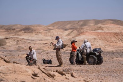Gobi Çölü'nde 3 Yeni Dinozor Türü Bulundu