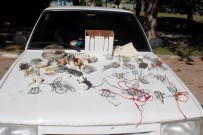 Şahin avcıları Sivas'ta yakayı ele verdi