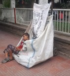 Sıcaktan Yorgun Düşen Kağıt Toplayıcısı Küçük Çocuk El Arabasında Uyuya Kaldı