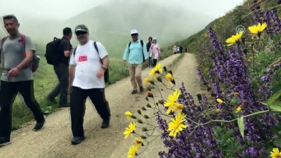 Adrenalin Ve Doğa Tutkunlarının Yeni Rotası Derebaşı Virajları