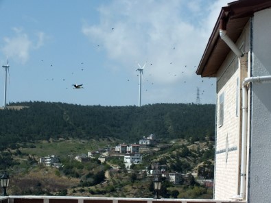 Belen'de Göçmen Kuşların Geçiş Güzergahına 'Kuş Gözlem Merkezi'