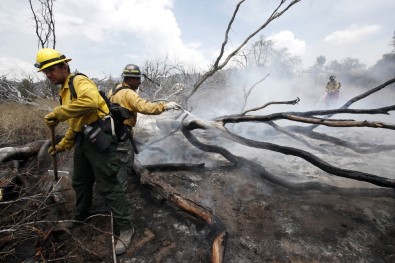 California Yangınlarında Ölü Sayısı 6'Ya Yükseldi