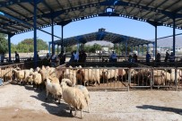 Erzincan'da Genç Çiftçiler Koyunlarına Kavuştu