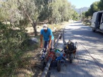 ÖZLEM ÇERÇIOĞLU - Karapınar İçme Suyuna Kavuştu
