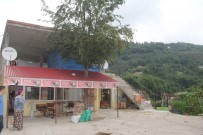 Kesmeye Kıyamadıkları Armut Ağacını Böyle Korumaya Aldılar