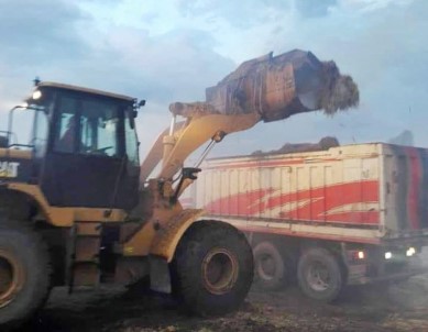 Uğurludağ'da Ahır Yangını Açıklaması 1 Yaralı