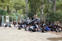 KAÇAK GÖÇMEN - 30 kişilik tekneden 174 kaçak göçmen çıktı