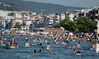 ZEYTİNBAĞI - Bursa Sahillerinde Son Durum