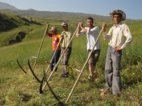 MEHMET DEMIR - Doğubayazıtlılardan Tırpanla Zayıflama Tavsiyesi