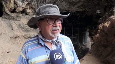 Kazı Ekibinin Maskotu Yavru Baykuşlar