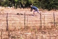 KıZıLAĞAÇ - Kürekle Şahin Öldüren Şahsa 10 Bin TL Para Cezası