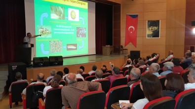 Mersin'de 'Akdeniz Meyve Sineği Ve Sirke Sineği İle Mücadele' Konferansı