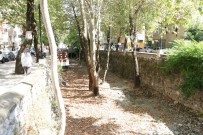 NIOBE - Çaybaşı Deresi Temizlendi