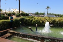 YAZ SICAKLARI - İzmir Sıcaklar Kavuruyor