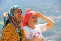 ORMAN İŞÇİSİ - Bodrum'daki Yangında Evler Boşaltıldı