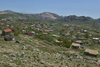 Feslikan Yaylası'na Toplu Ulaşım Seferleri Başlıyor