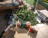 TARIM ÜRÜNÜ - İstanbul'da Zehir Villasına Şok Baskın