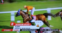 KıRKPıNAR - Kırkpınar Koşusu'nun Galibi 'Bodrum Kalesi'