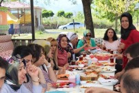 VAN GÖLÜ - Kulplu Kadınlar Van'ı Gezdi