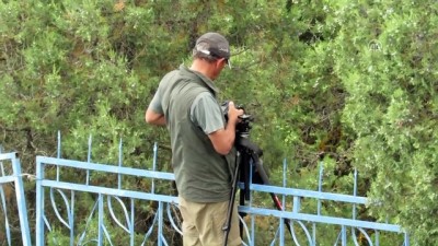 Leylekler Vadisi'nde Yavrular Büyük Göçe Hazırlanıyor