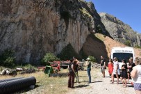 FAY HATTI - Litvanya'dan Kamp İçin Gelen Misafirler İnek Sağdı