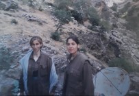 KADIN TERÖRİST - Mahmur Kampından Norveç'e Tedavi Amaçlı Giden PKK'lı Terörist Türkiye'ye Teslim Edildi