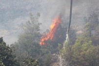 ORMAN İŞÇİSİ - Yangın Nedeniyle Evler Boşaltıldı