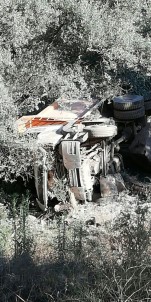 Zeytin Bahçesine Yuvarlanan Kamyonun Sürücüsü Hayatını Kaybetti