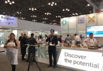 EGE İHRACATÇı BIRLIKLERI - ABD'ye Gıda Ürünleri İhracatının Yüzde 55'İ Egeli İhracatçılardan