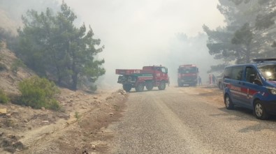 Antalya'da Orman Yangını  (1)