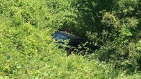 ÇOCUK HASTALIKLARI - Bartın'da Otomobil Şarampole Uçtu Açıklaması 2 Ölü, 3 Yaralı