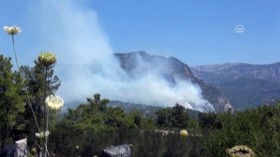 GÜNCELLEME - Antalya'da Orman Yangını