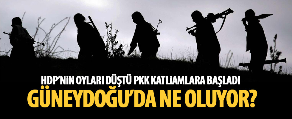 HDP'nin oyu düşünce PKK katliamlara başladı