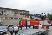 İTFAİYE ERİ - Kırlangıç İçin Seferber Olan İtfaiye Ekipleri Olay Yerinden Üzgün Ayrıldı