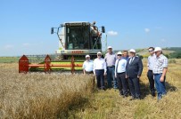 İSMAİL ALTAN DEMİRAYAK - Vali Ceylan, Yeniden Başlayan Hasada Başladı