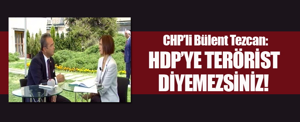 CHP'li Tezcan: HDP'ye terörist diyemezsiniz!