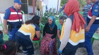 EĞİTİMLİ KÖPEK - Mersin'deki Kayıp Kadın Bulundu