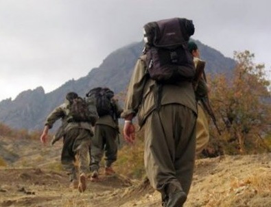 Başarılı operasyonlar PKK'yı panikletti
