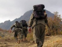 Başarılı operasyonlar PKK'yı panikletti