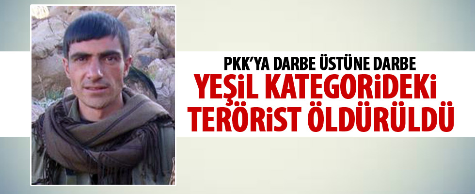 Yeşil kategoride aranan terörist öldürüldü