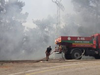 AMANOS DAĞI - Hatay'da Orman Yangını