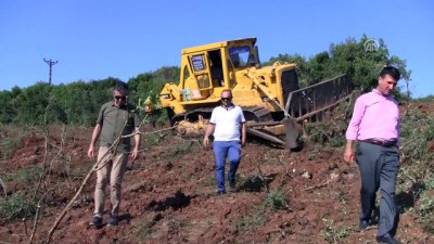 Marmara Adaları 'Fıstık' Gibi Olacak